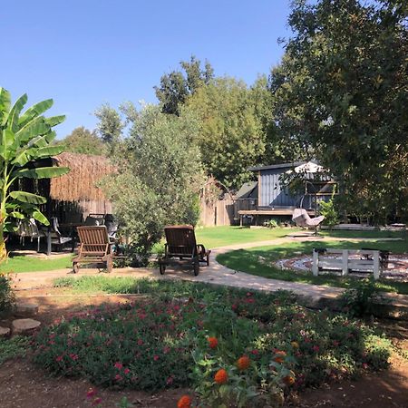 Tiny House Kayakoey Kumquat Hotel Bagian luar foto