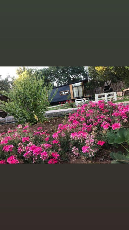 Tiny House Kayakoey Kumquat Hotel Bagian luar foto